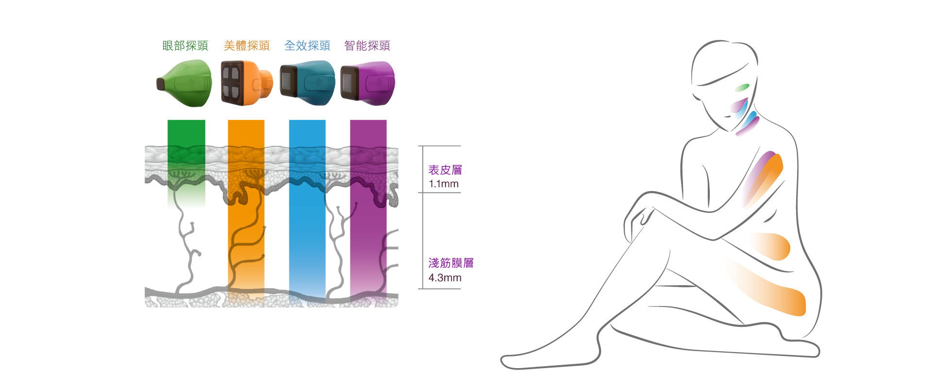 鳳凰電波探頭：多層深度設計，從眼周到身體皆可緊緻
