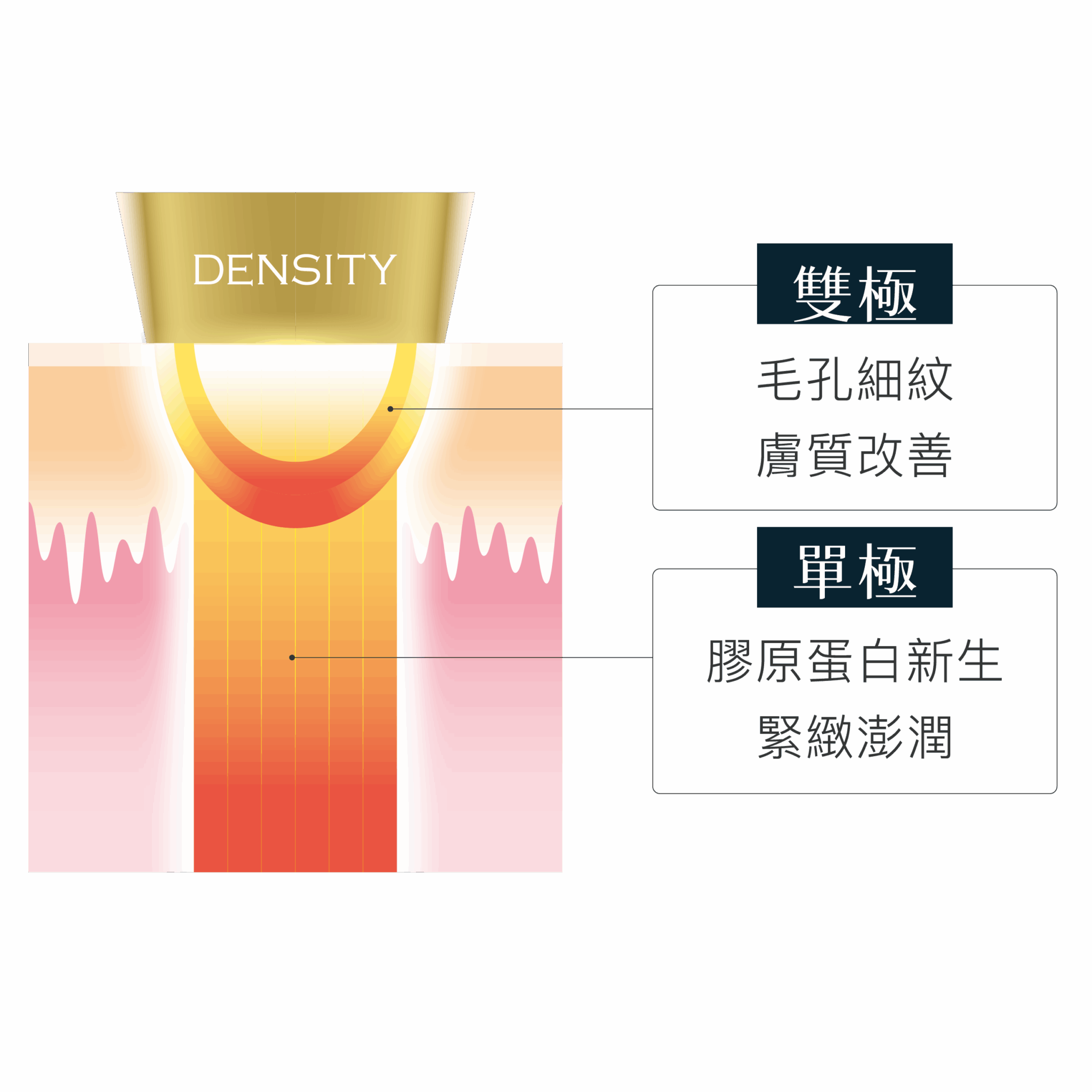 無雙電波：單＋雙極複合能量，分層緊緻兼顧膚質
